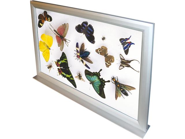 Double Stand Snap-Frame (Alu/Silver - A4 - 21,0*29,7 cm) 2